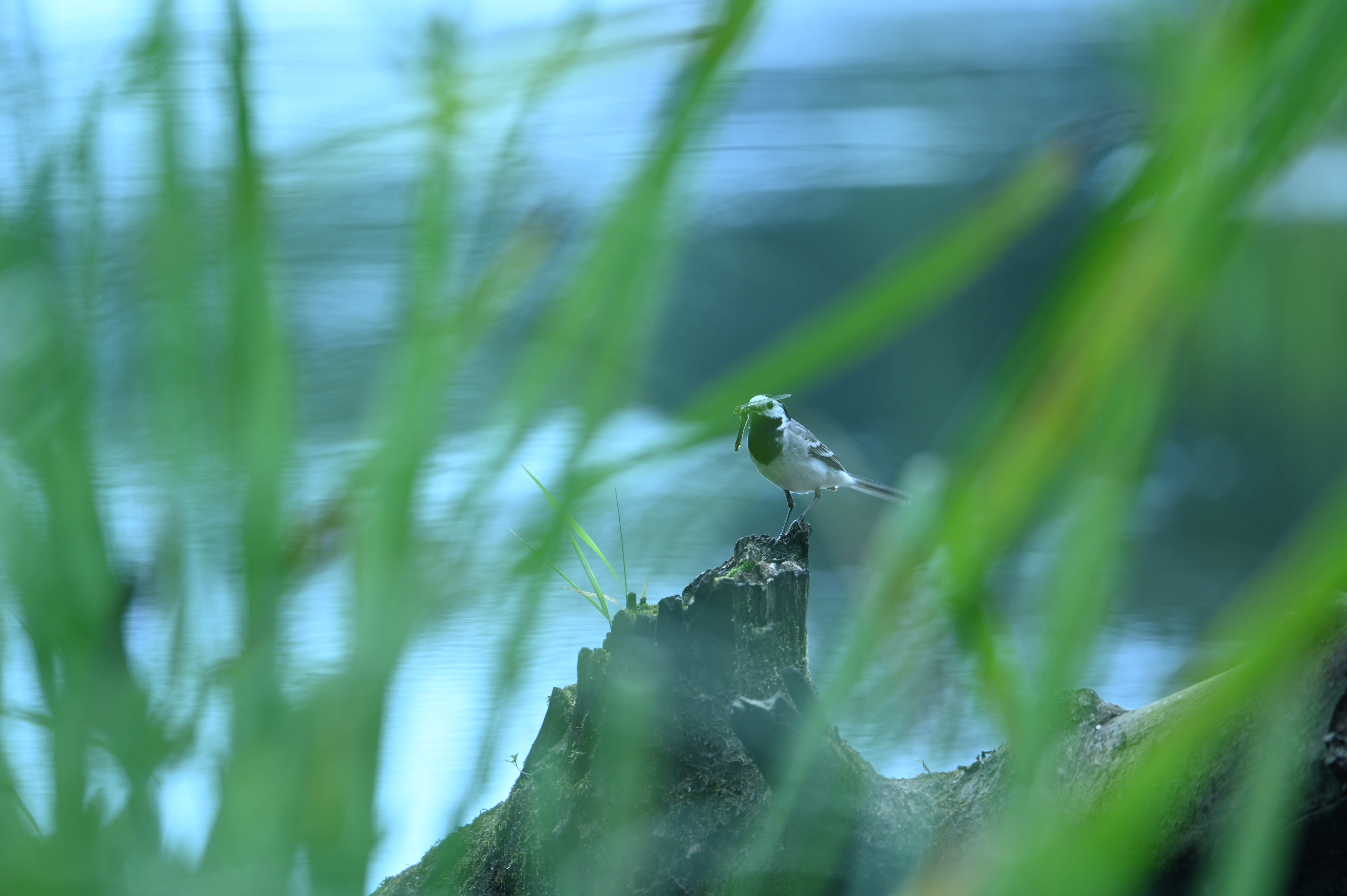 2025/07/09-14 - trip/DSC_0417.JPG